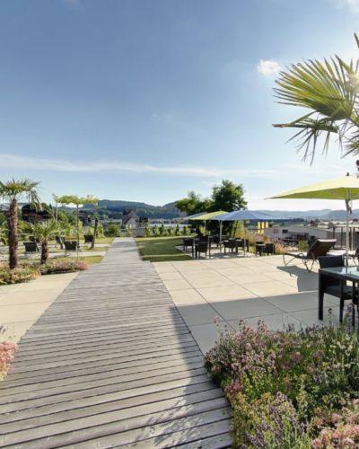Gartenanlage mit Palmen und Aussicht